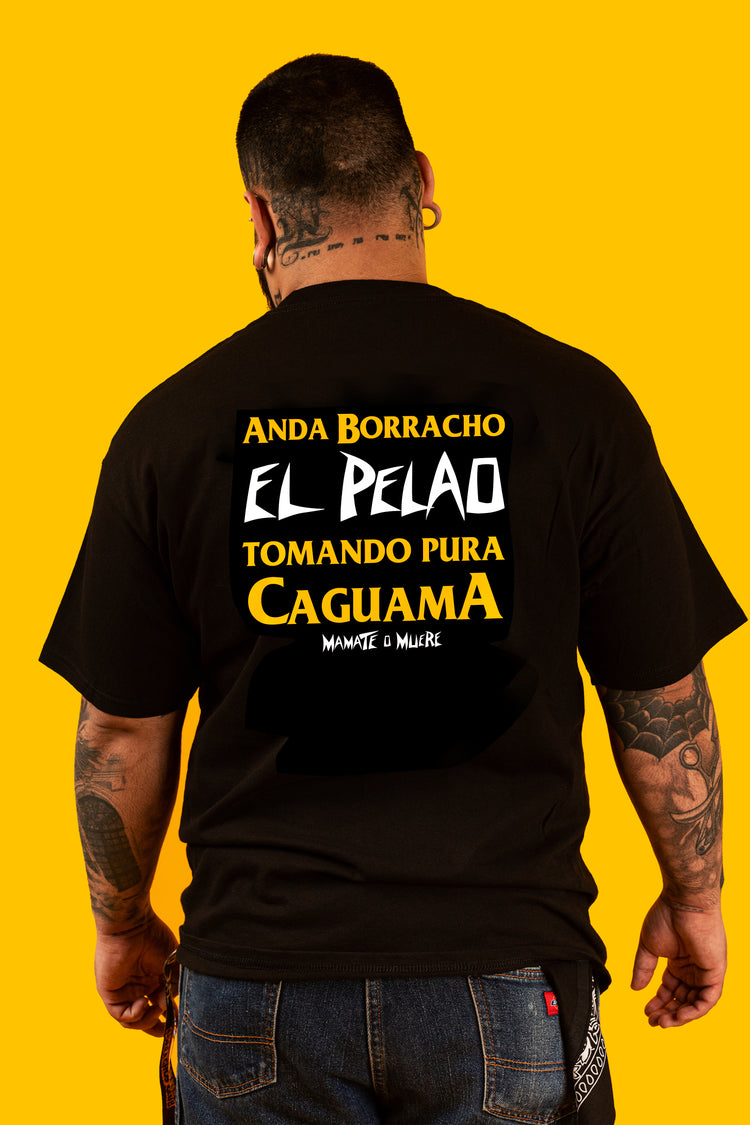 El Viejo Paulino - Anda borracho el Pelao